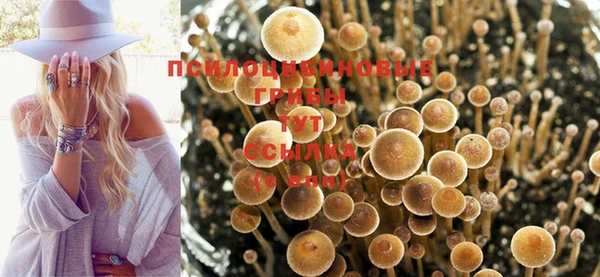 mdpv Баксан